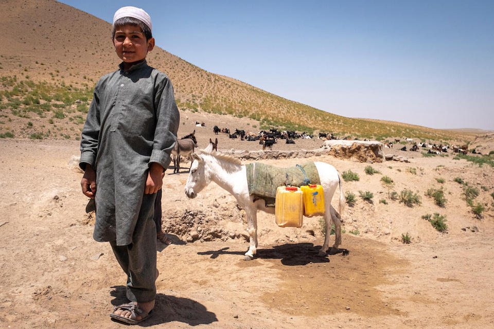 Hamza, 5, stands near a donkey loaded with plastic water jugs at a natural spring in Lusharbak village, Gulran district, western Afghanistan, an area affected by severe drought.