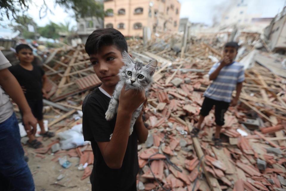 Mohammad, 5 and his cat amidst the wreckage of his home  destroyed by airstrikes in the Gaza Strip.