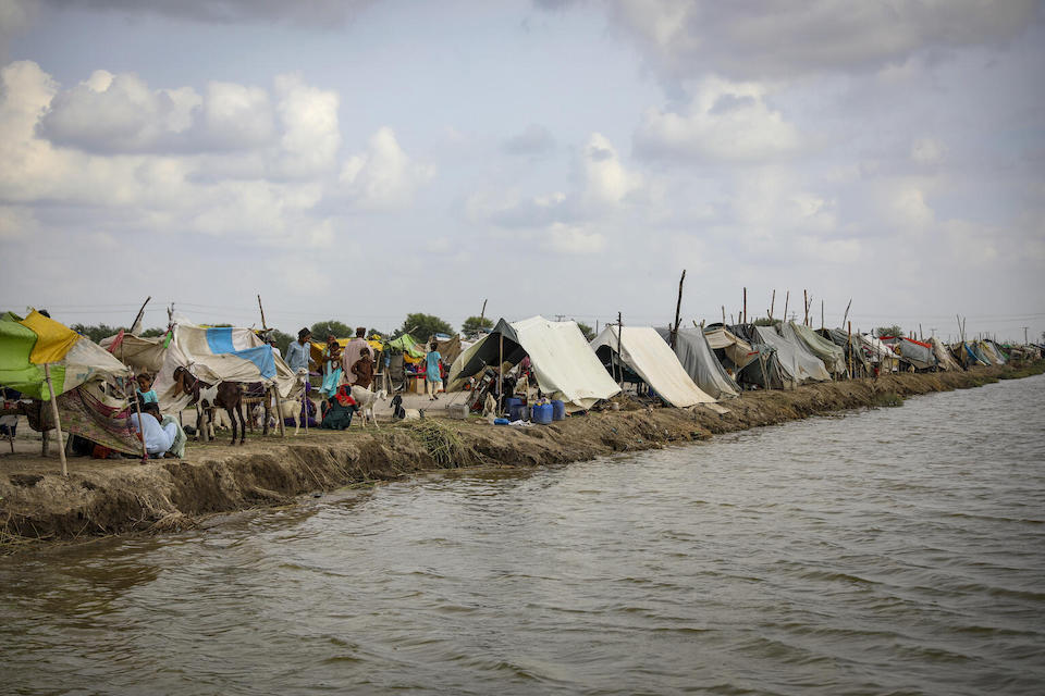 On Sept. 2, 2022, temporary shelters house families who have taken refuge on higher ground along a roadway next to floodwaters in Mirpur Khas District, Sindh Province, Pakistan.
