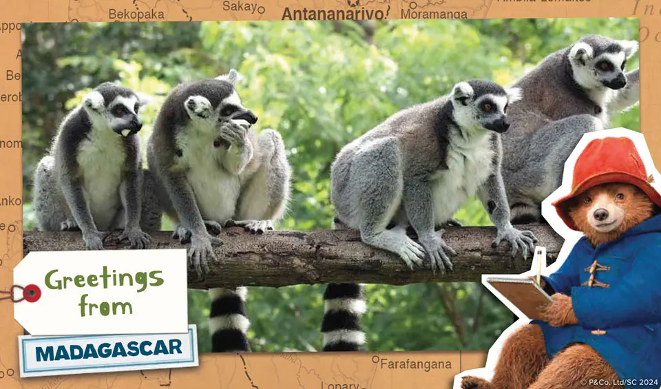Each month your child can receive a postcard from Paddington and learn about kids around the world