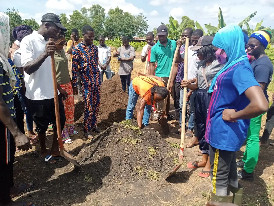 Innovative organic fertilizers have the potential to improve soil conditions and crop yields in the Sahel.