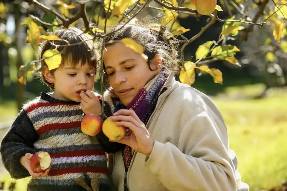 Teaching children healthy eating habits is key to good nutrition.