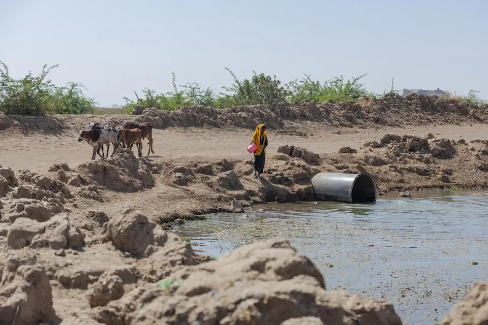 In Sudan's Kassala state, 12-year-old Shaimaa descends to the canal to demonstrate how she collected water before UNICEF rehabilitated the local water treatment plant.