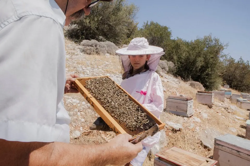 A grandfather and his granddaughter check their beehives in Nea Makri, Greece.