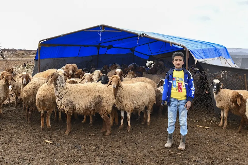 A 13-year-old boy with one arm stands next to a herd of sheep in rural Dar’a, Syria. 