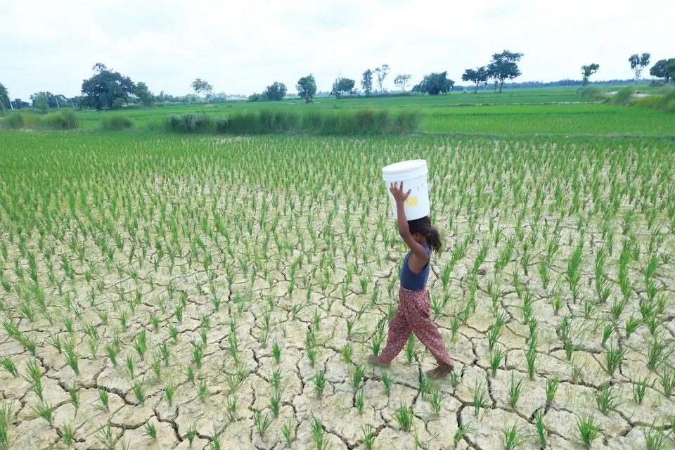 A young girl child is carrying a bucket to fetch water for the cracked land caused by lack of rainfall in Madhesh Province, Nepal.