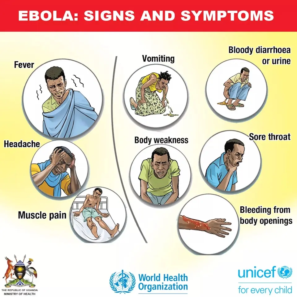 Ebola: signs and symptoms graphic