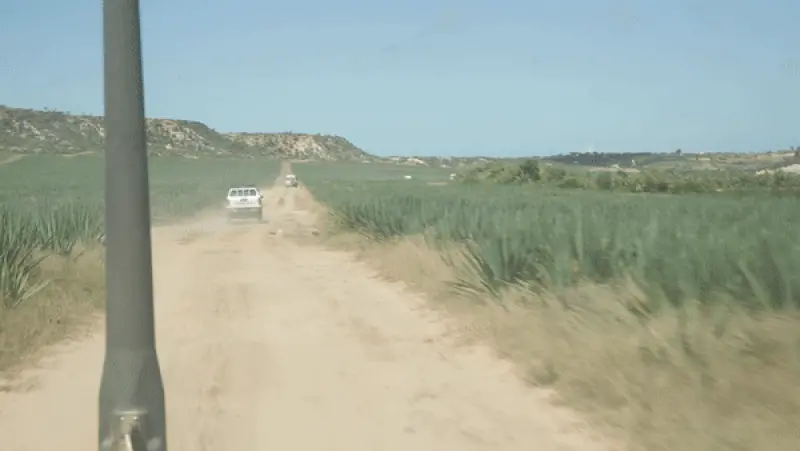 Bumpy Road