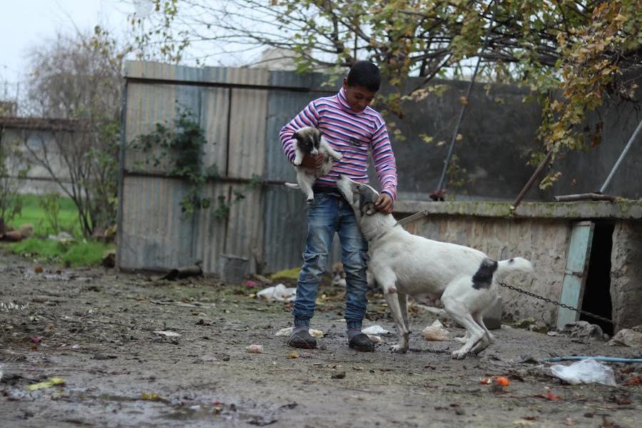 Mohammad, 13, plays with the family dog who is tasked with protecting them against strangers. Photo: UNICEF/ Syria 2018/ Khudr Al- Issa 