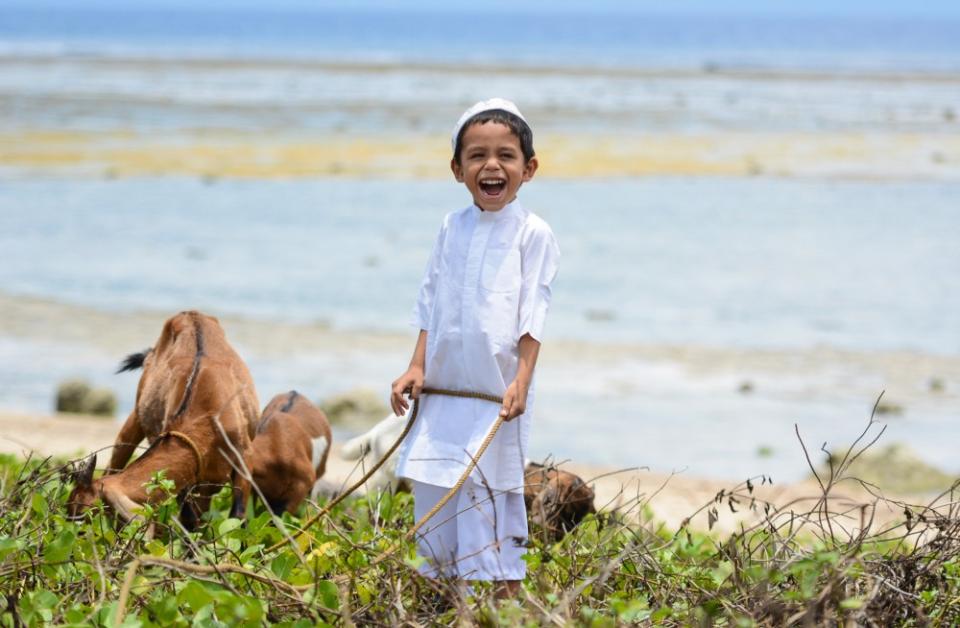Boy Smiling with Goats