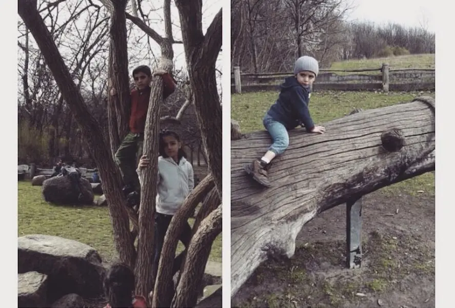 Children Playing on Trees