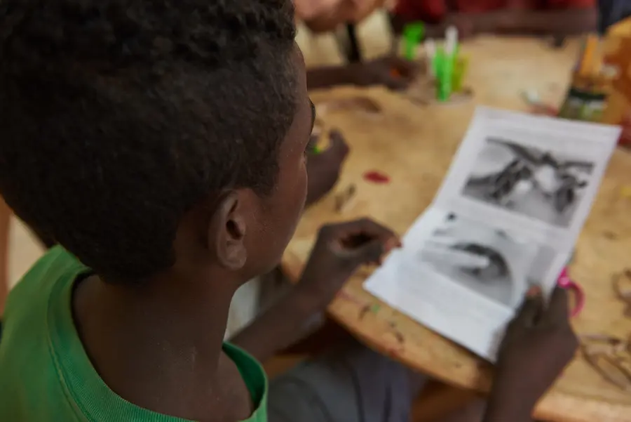 Boy Looking at Paper
