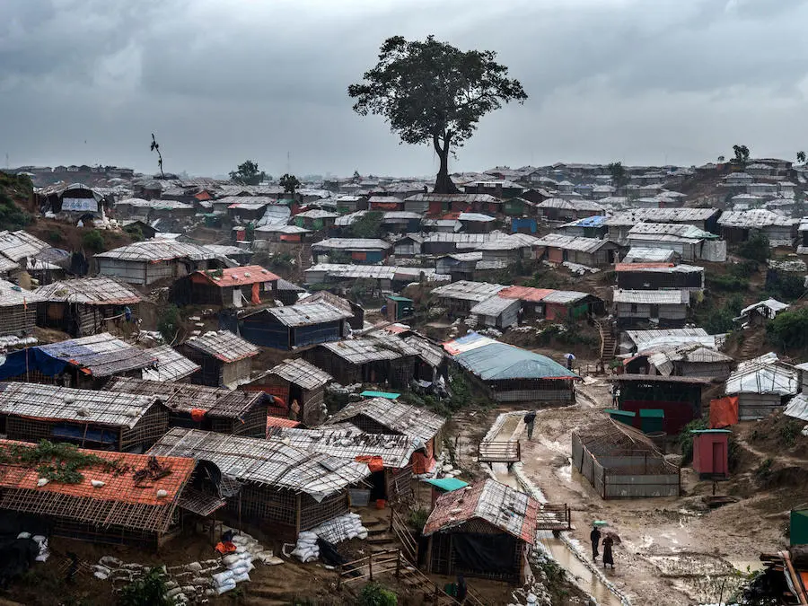 Deforestation has left Rohingya refugee camps — like Kutupalong in Cox's Bazar, Bangladesh — vulnerable to erosion and landslides. Deforestation has left Rohingya refugee camps — like Kutupalong in Cox's Bazar, Bangladesh — vulnerable to erosion and landslides.