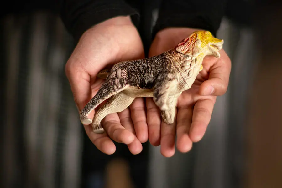 Shatha, 15, holds the little dog she brought with her when her family left Syria when she was 8 or 9. Shatha, 15, holds the little dog she brought with her when her family left Syria when she was 8 or 9.