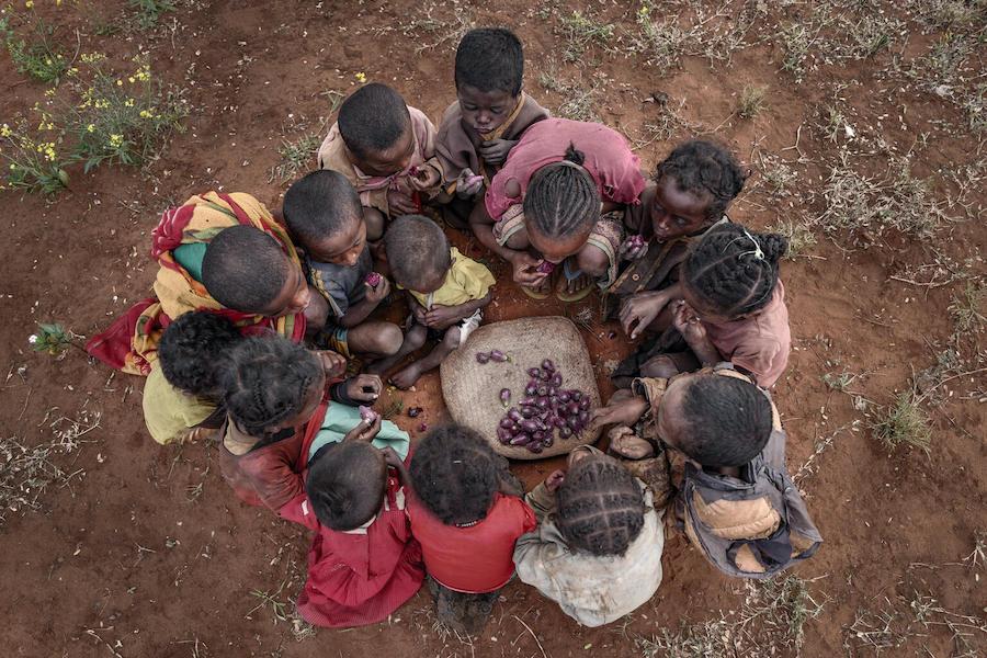 Children in the drought-affected, food insecure Androy region of Southern Madagascar share a basket of prickly pears.
