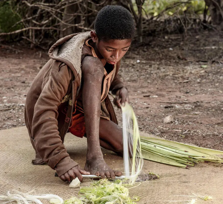 Laha, 14, uses a spear head to crush agave leaves with his foot and extract sisal fiber he can then sell at the market. Laha, 14, uses a spear head to crush agave leaves with his foot and extract sisal fiber he can then sell at the market.