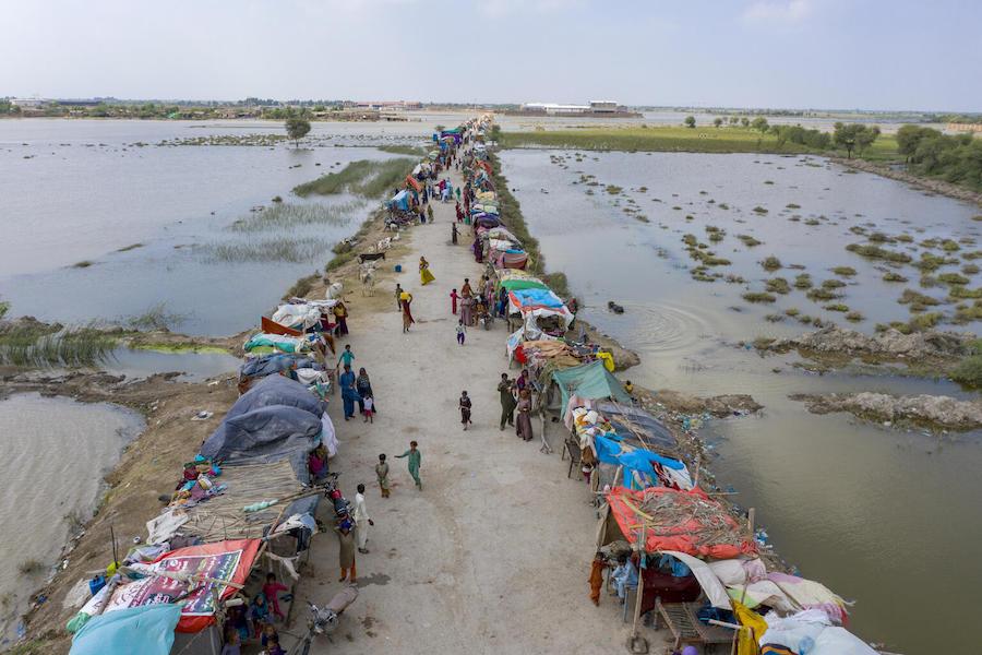 On Sept. 2, 2022, families are camped out along the high road in Mirpur Khas district, Sindh Province, Pakistan, surrounded by a sea of floodwaters where crops and grazing land once stood. 