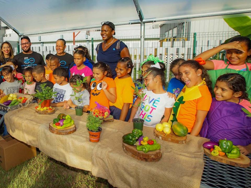 Money raised by children Trick-or-Treating for UNICEF after Hurricane Maria helps kids learn about gardening and heatlhy eating at Boys & Girls Clubs of Puerto Rico.