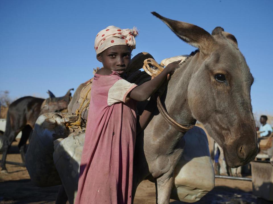 While collecting water for her family, a young girl child stands holding her donkey near a water point outside her village in Sudan.