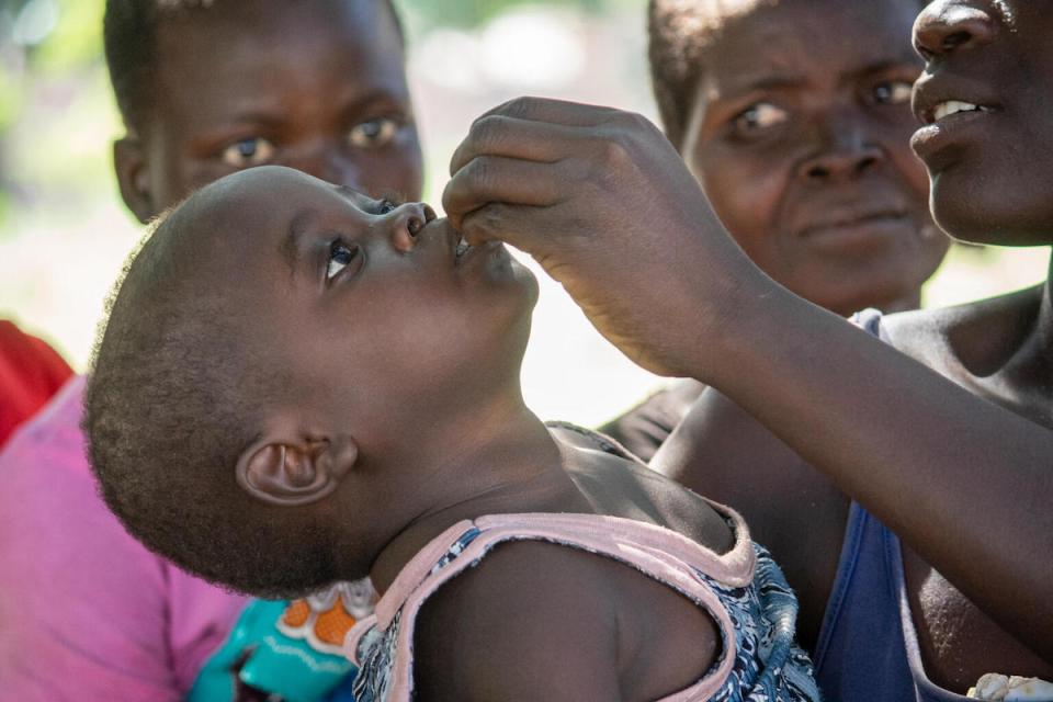 A child receives a cholera vaccine during a UNICEF-supported immunization campaign in Chikwawa district, Malawi.