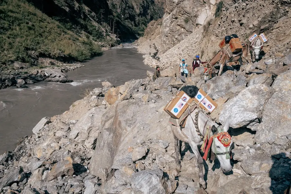 A caravan of mules navigates narrow, difficult paths through the rugged mountains of Dolpa District, Nepal transporting various supplies, including lifesaving ready-to-use therapeutic food (RUTF). 