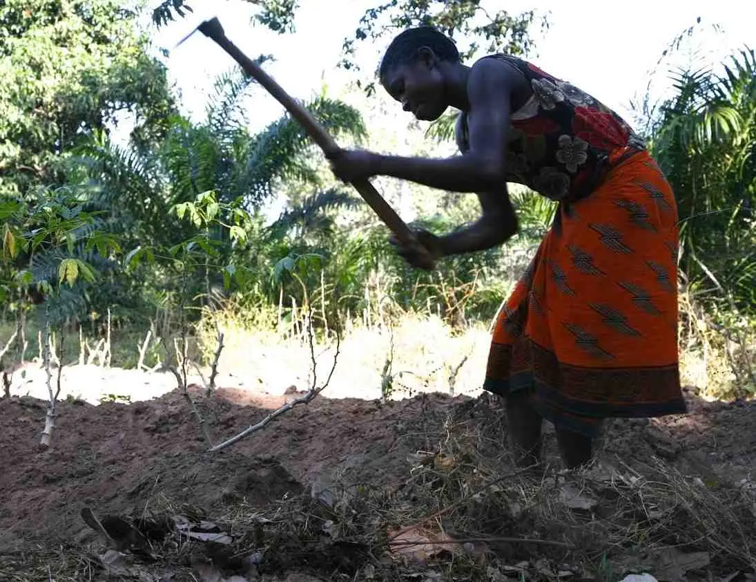 Laura had to give up on school after her parents died. Now, at 14, she is the head of her household and must work to support her 7-year-old brother