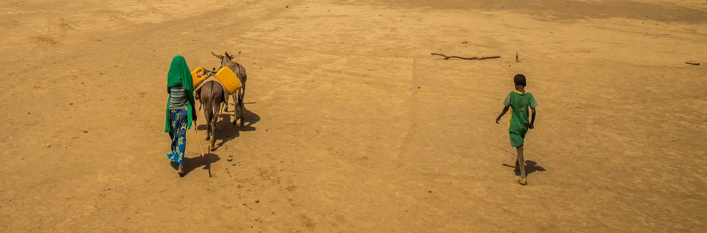 Person and Animals Walking in Desert