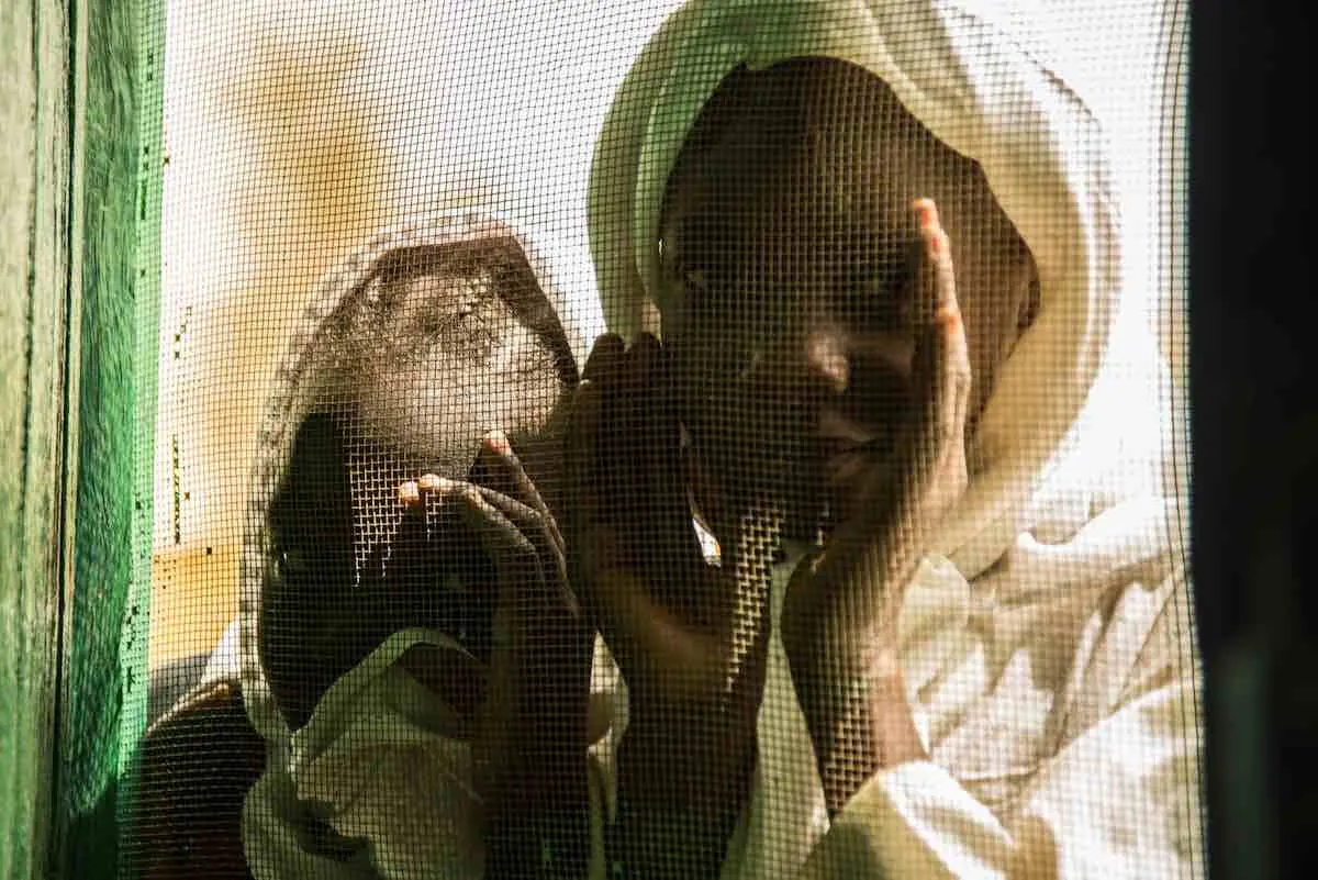 Children Peering Through Window