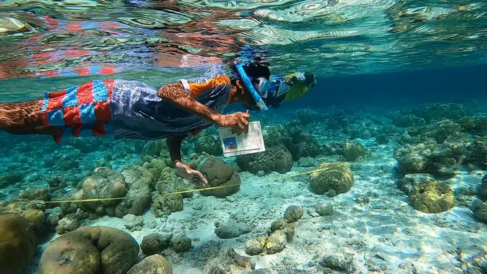 A member of the Muhyiddin Scout Group snorkels over a coral reef near Vilimal&eacute;, Maldives, during a routine monitoring expedition.