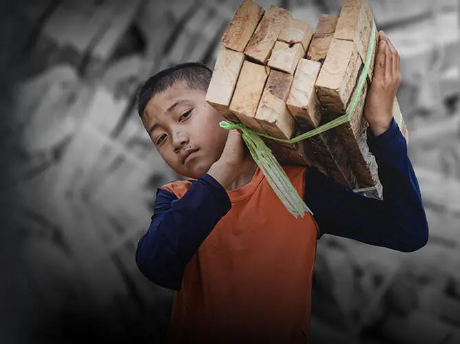 A teenage boy carries a bundle of wooden boards on his shoulder.