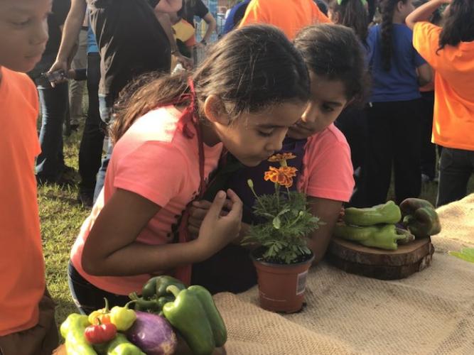 UNICEF USA partnered with Boys &amp; Girls Club of Puerto Rico to launch a nutrition program that includes planting community gardens to supply fruit and vegetables.
