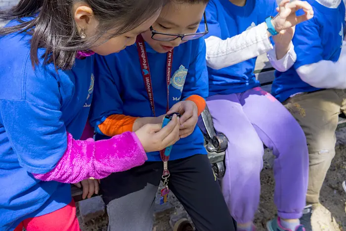 Students in Ms. Ng's class at P.S. 42 check their Kid Power bands to see how many steps they have earned so far that day.