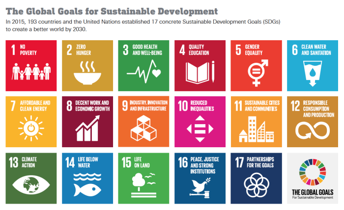 The U.N.'s 17 Sustainable Development Goals for 2030
