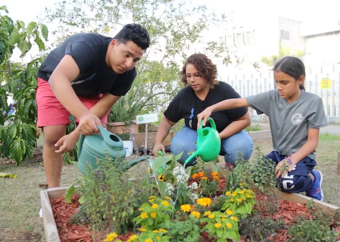 Money raised by children Trick-or-Treating for UNICEF after Hurricane Maria helped create community gardens run by Boys & Girls Clubs of Puerto Rico. Money raised by children Trick-or-Treating for UNICEF after Hurricane Maria helped create community gardens run by Boys & Girls Clubs of Puerto Rico.