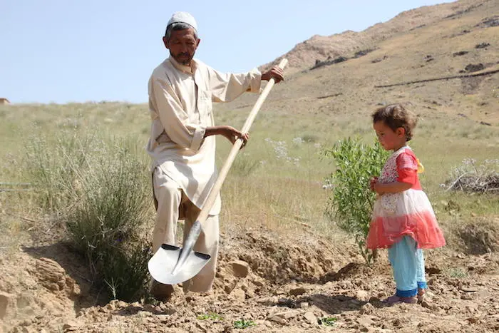 Khair Mohammad, a father of seven, is unable to feed his family because of drought in Daykundi Province, Afghanistan, June 2018. unicef, afghanistan, drought, climate change
