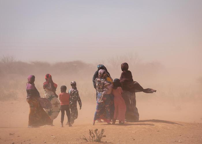 Women and children walk past animal carcasses in Sagalo village, Somali region, Ethiopia as strong wind blows dust everywhere on January 21, 2022.