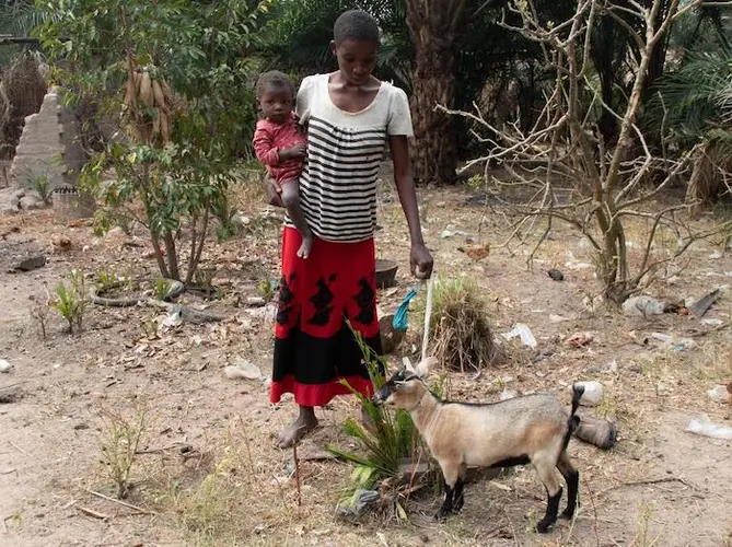 Solange with her 2-year-old daughter and one of the goats she purchased with cash assistance from UNICEF. Solange with her 2-year-old daughter and one of the goats she purchased with cash assistance from UNICEF.