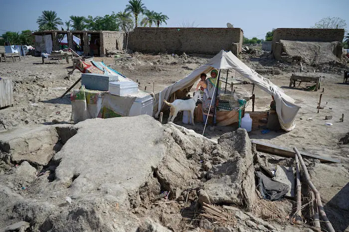 A woman stands in her tent with a child and a goat in the flood-devastated village of Basti Kishani, Rajanpur district, Punjab Province. Pakistan. A woman stands in her tent with a child and a goat in the flood-devastated village of Basti Kishani, Rajanpur district, Punjab Province. Pakistan.
