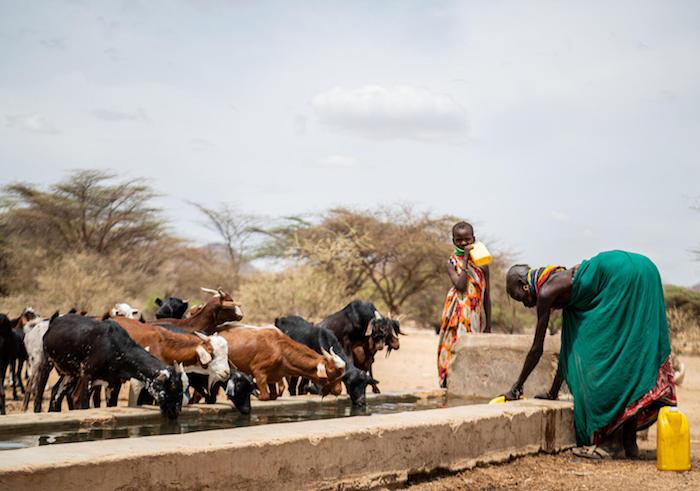 A woman fetches water from the community water trough in Sopel, Turkana County, Kenya. UNICEF rehabilitated the solar water system. 