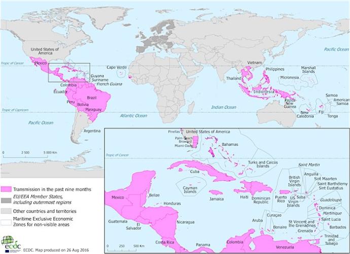Countries and territories with reported confirmed vector-borne transmission of Zika virus infection in the past three months, according to the European Centres for Disease Prevention and Control (ECDC)