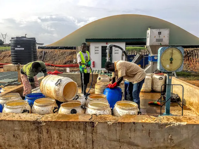 Local organic waste from the food market and slaughterhouses, and output from Communal Service Blocks, are collected and brought to the Safi Sana factory in Ashaiman. 
