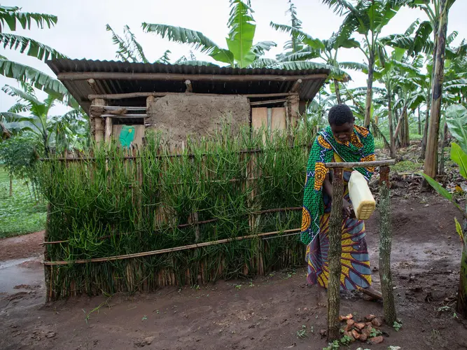 Josephine Mukonyezi, 26, washes her hands at a tippy tap outside her family's pit latrine in Mutwe Village, Kamwenge District, Uganda in 2019. She learned about the health benefits of good sanitation through a UNICEF community education program. 