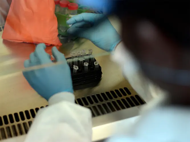 Studies are showing that approved COVID-19 vaccines are effective against coronavirus variants.