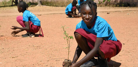 A student at the Public School of Champions, in Garoua, north Cameroon, plants a tree in the school playground.